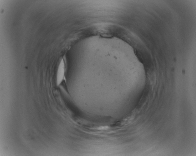 X0000067400223200604281916