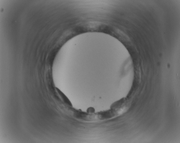 X0000067400225200604281916