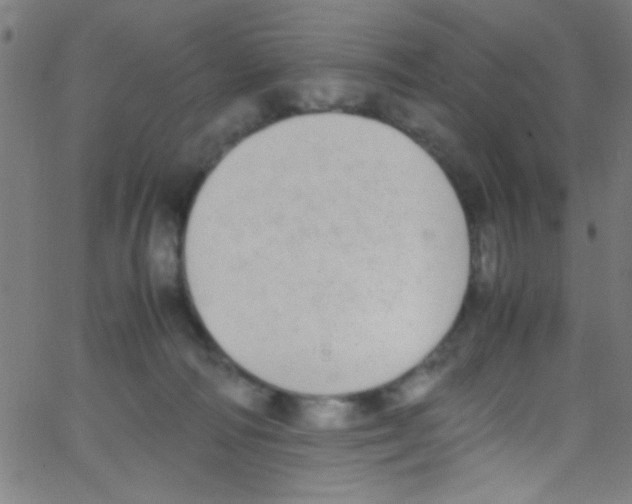 X0000067400226200604281916