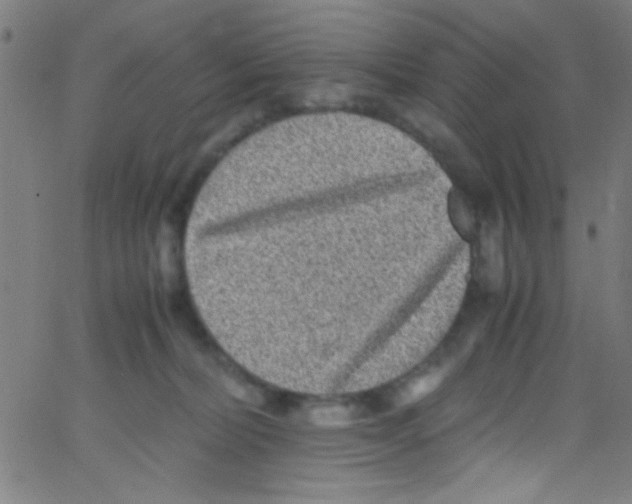 X0000067400228200604281916