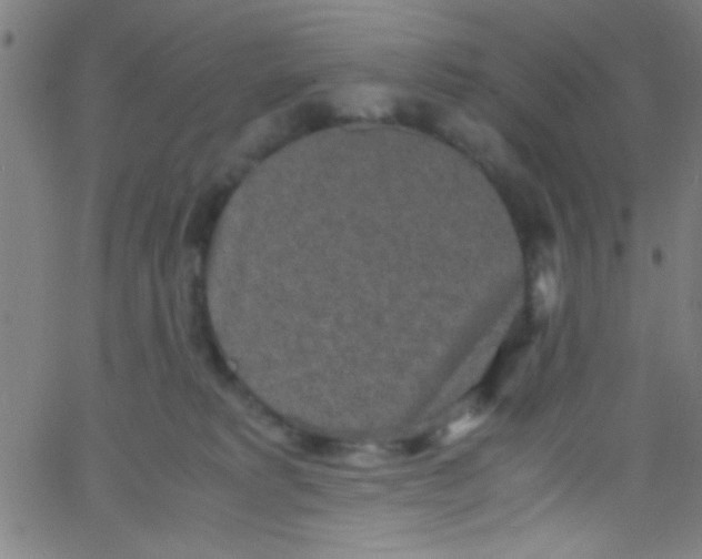 X0000067400229200604281916