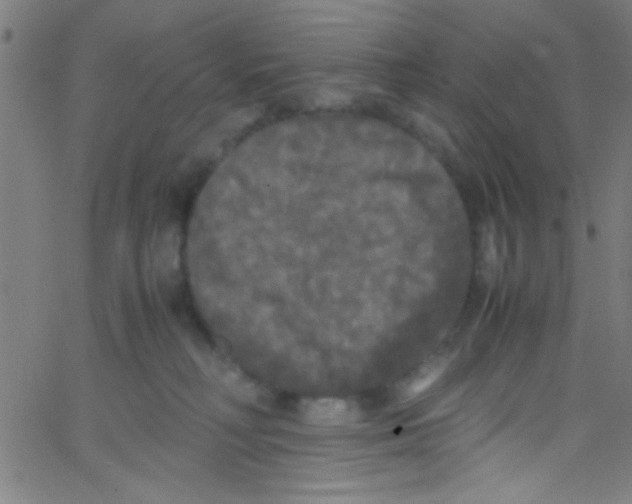 X0000067400230200604281916