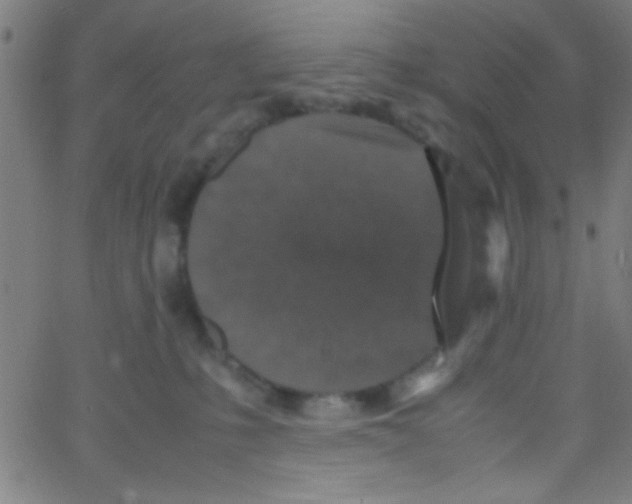 X0000067400231200604281916