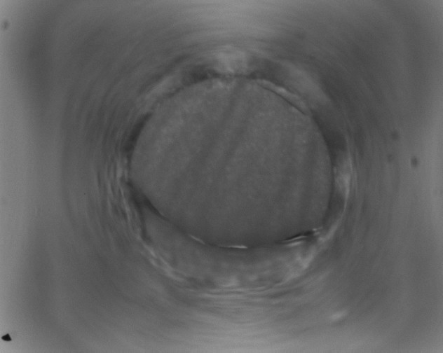 X0000067400233200604281916