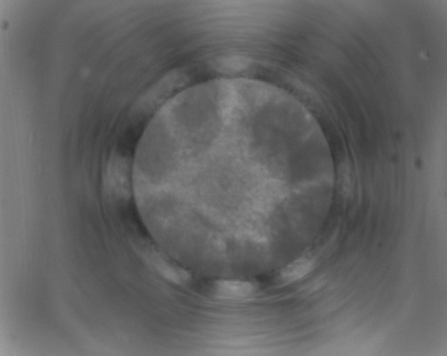 X0000067400234200604281916