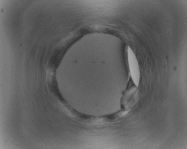 X0000067400235200604281915