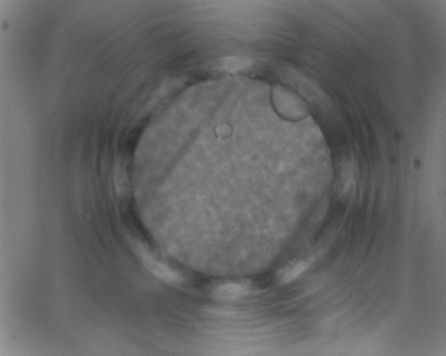 X0000067400236200604281915