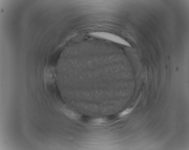 X0000067400237200604281915