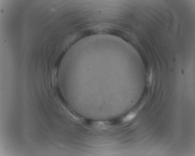 X0000067400239200604281915