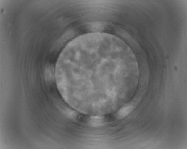 X0000067400240200604281915