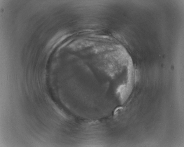 X0000067400243200604281915