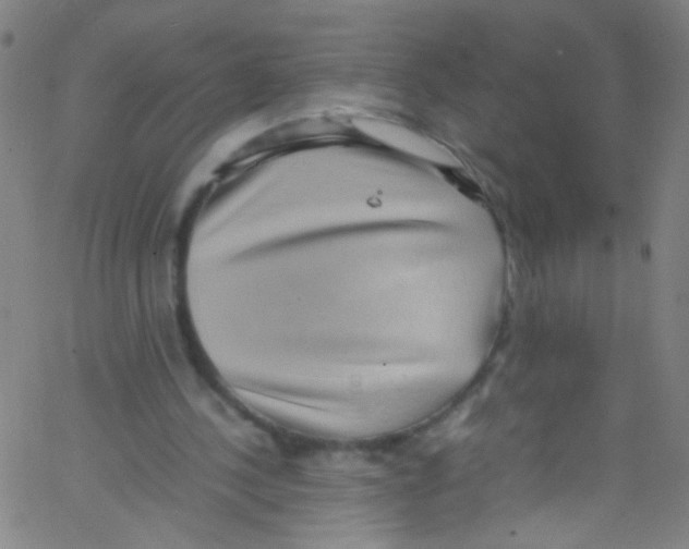 X0000067400244200604281915