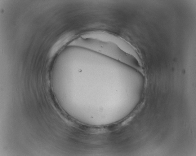 X0000067400245200604281915