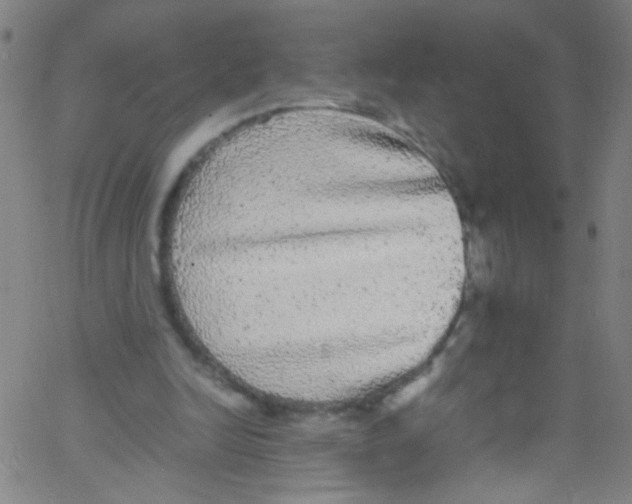 X0000067400246200604281915