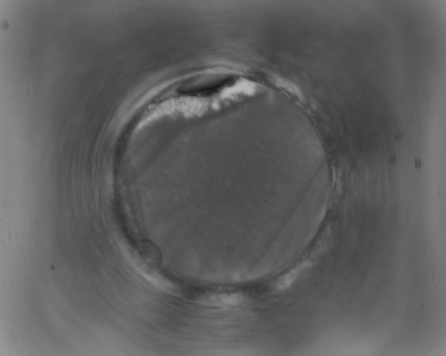 X0000067400247200604281915