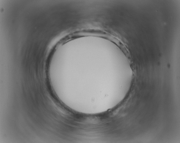 X0000067400248200604281915