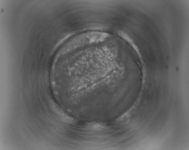 X0000067400249200604281915