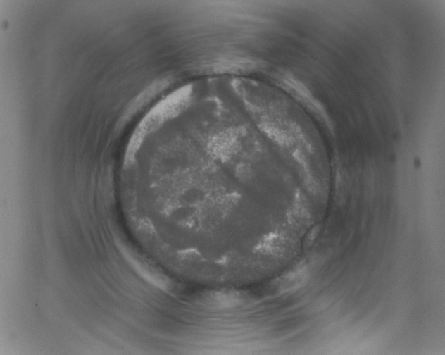 X0000067400250200604281915