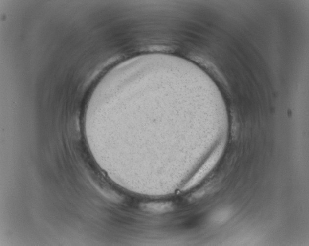 X0000067400251200604281915