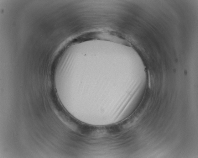 X0000067400252200604281915