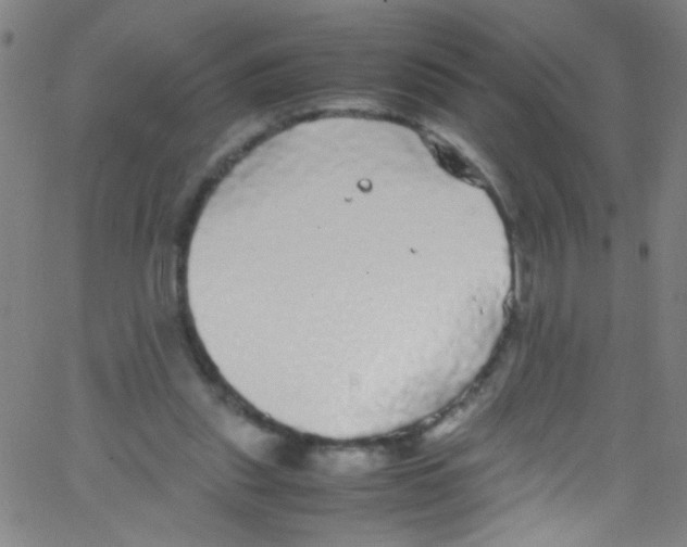 X0000067400253200604281915