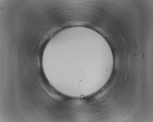 X0000067400254200604281915