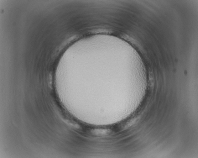 X0000067400255200604281915