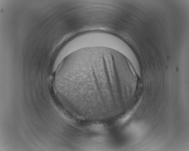 X0000067400256200604281915