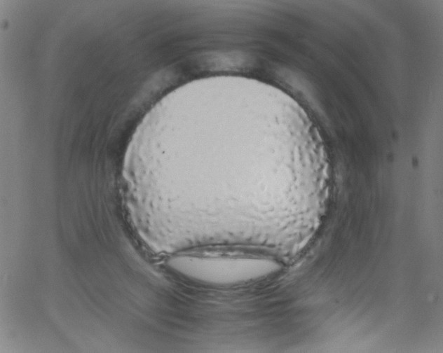 X0000067400257200604281915