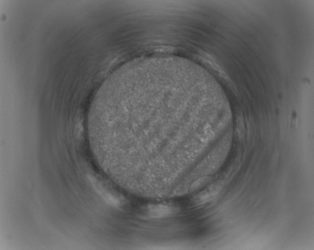 X0000067400259200604281915