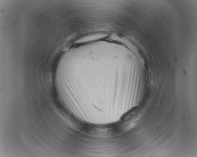 X0000067400260200604281915