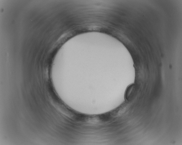 X0000067400262200604281915