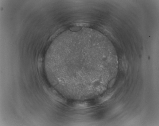 X0000067400263200604281915