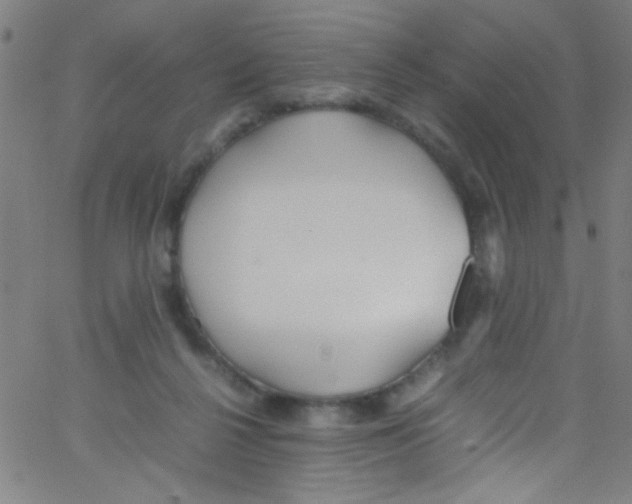 X0000067400264200604281915