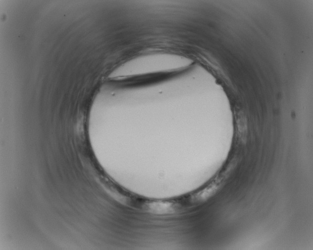 X0000067400265200604281915