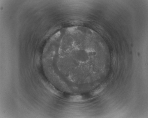 X0000067400266200604281915