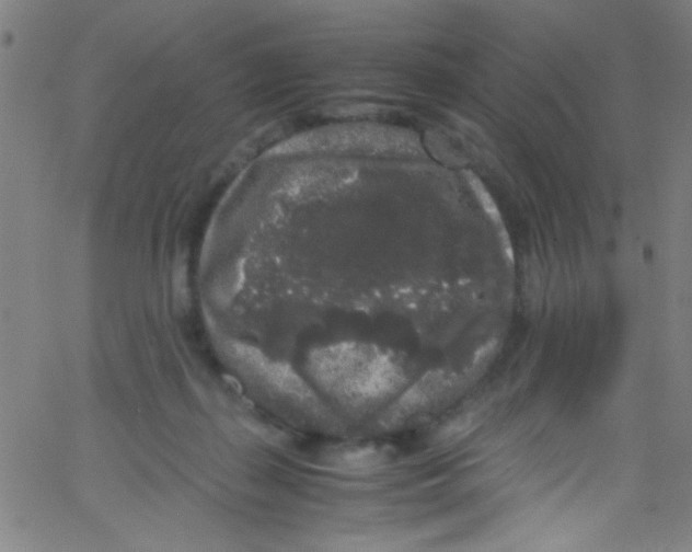 X0000067400267200604281915