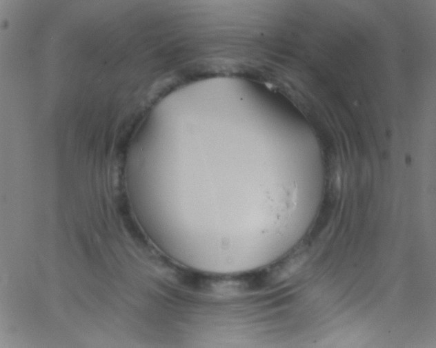 X0000067400268200604281915