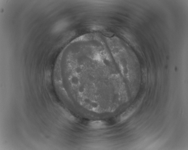 X0000067400269200604281915