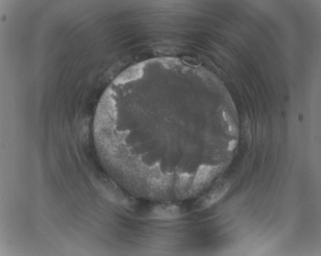 X0000067400271200604281915