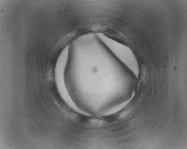 X0000067400272200604281915