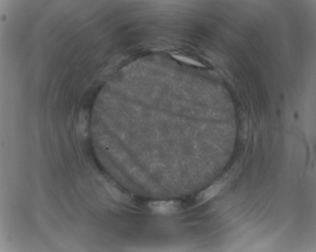 X0000067400273200604281915