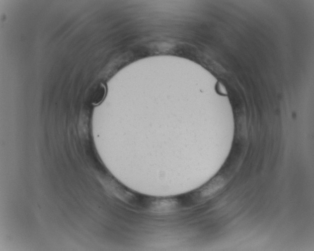 X0000067400274200604281915