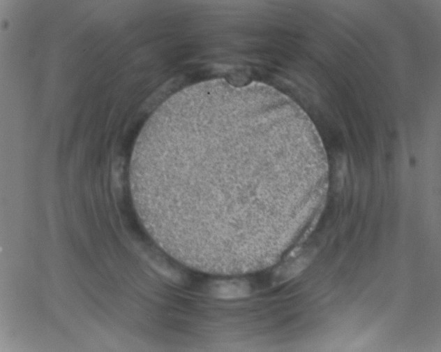 X0000067400275200604281915