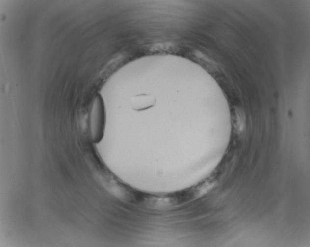 X0000067400276200604281915