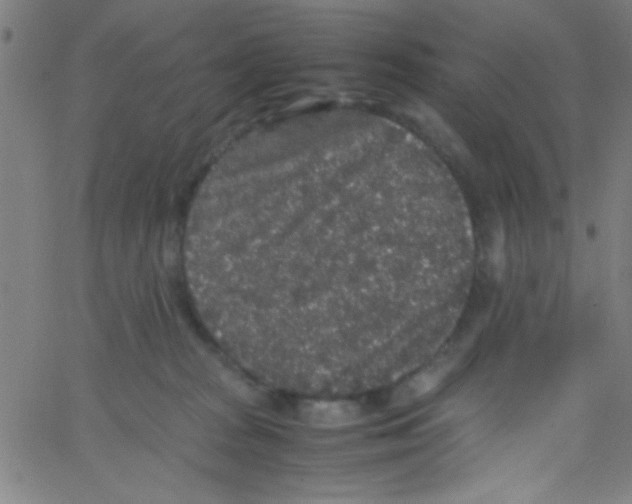 X0000067400277200604281915