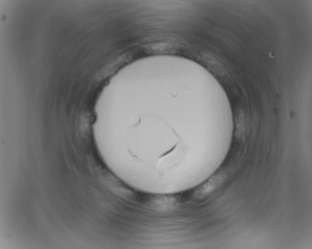 X0000067400278200604281915