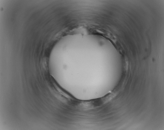 X0000067400280200604281915