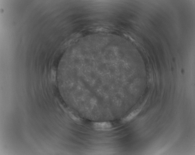 X0000067400281200604281915