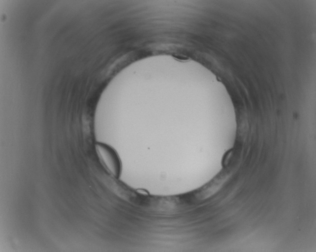 X0000067400282200604281915